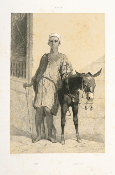 Anier An Ass Driver 1851