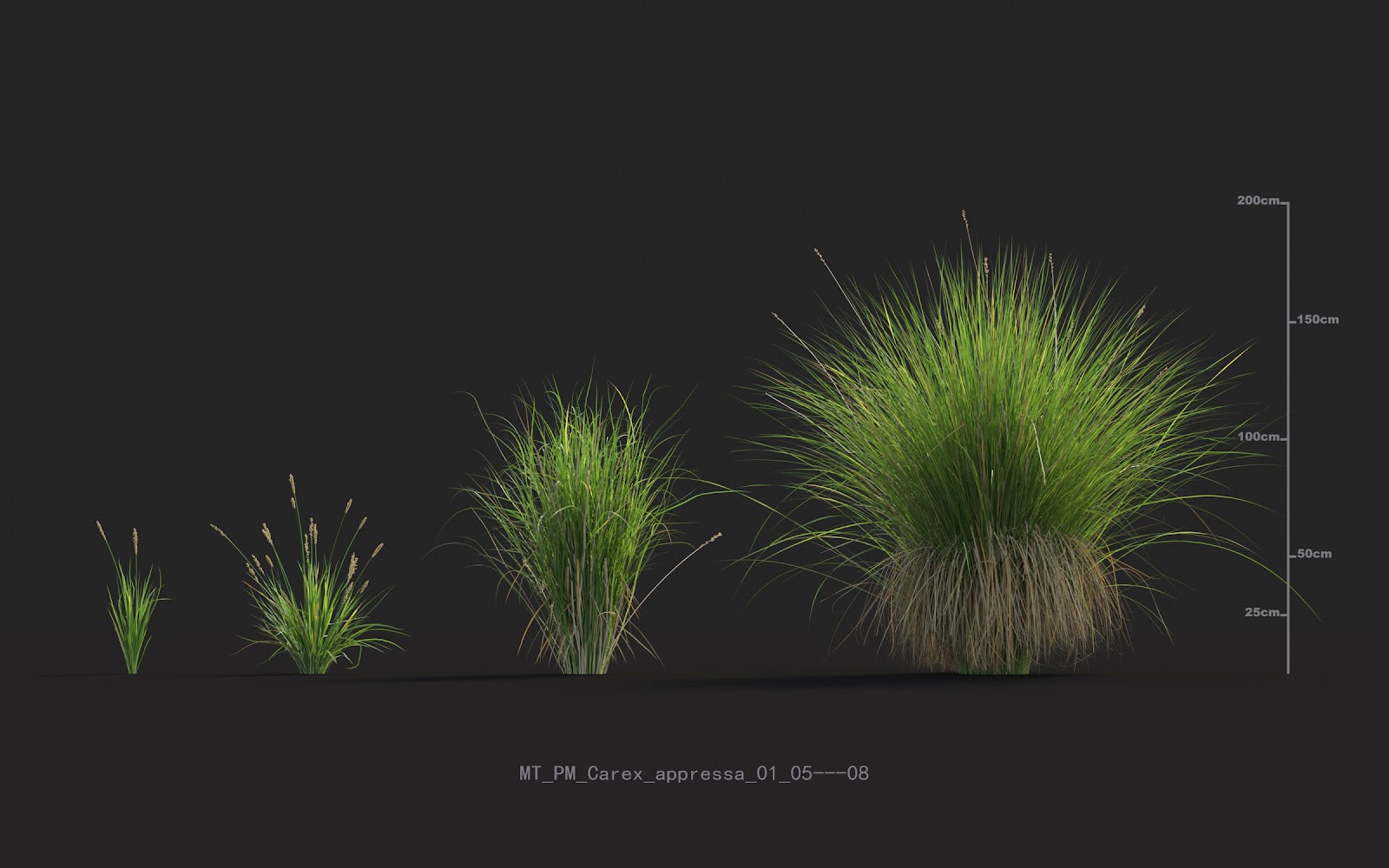 Maxtree - Plant Models Vol.20