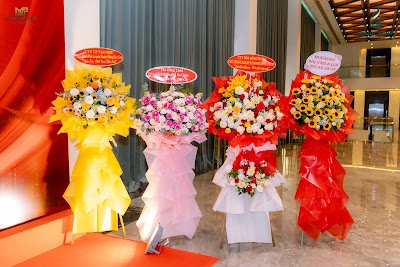 BinhPhoto-4105.jpg