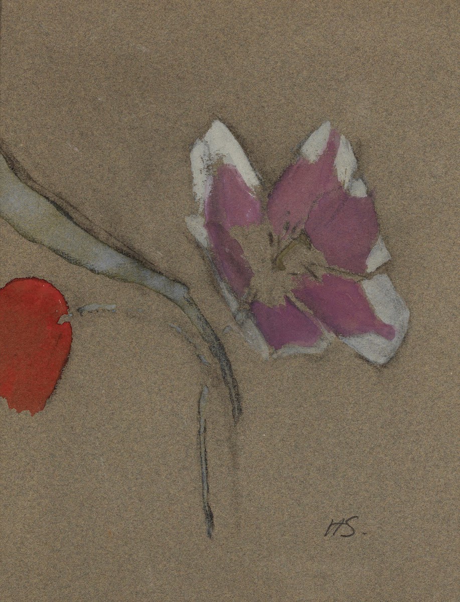 Anemone 1942