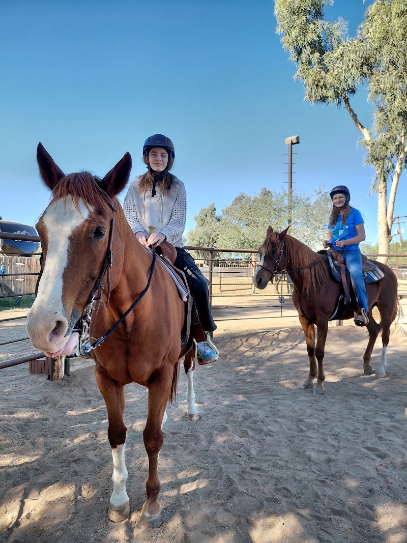 Campers learning to care for horses at Rose Riding