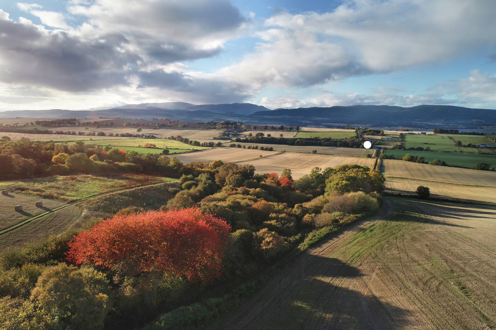 StMartinsStory_DJI_0456_Nutwood_to_StMartinsMill.jpg