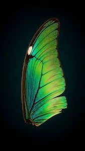 Macro View of Golden Marble Veins Texture