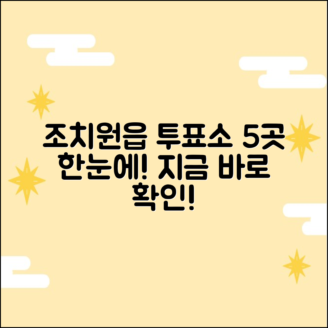 세종 조치원읍 읍면 투표소 5곳 찾기