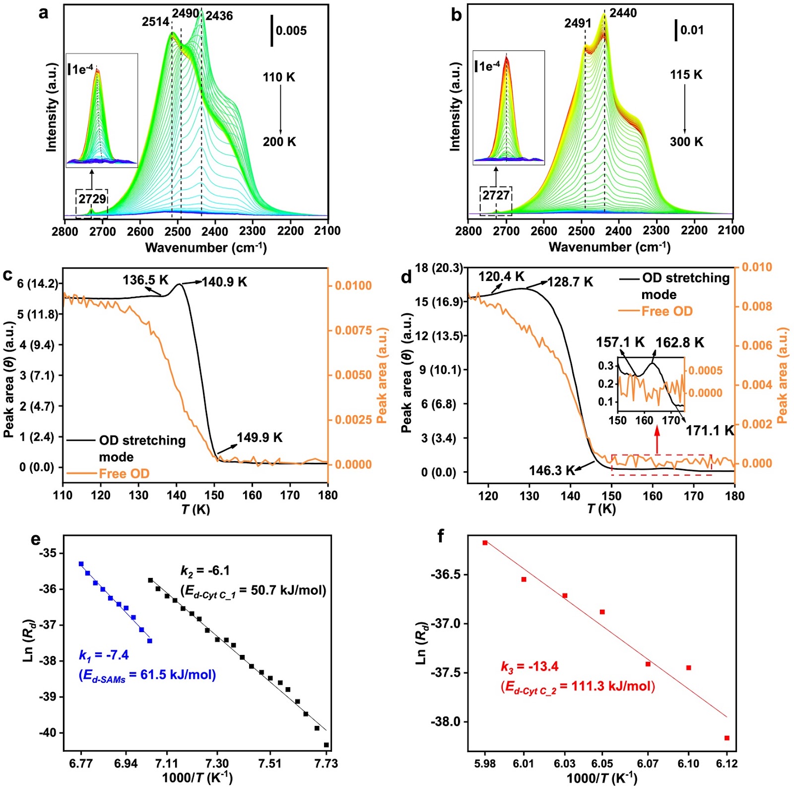 Observation of Ice-Like Two-Dimensional Flakes on Self-Assembled Protein Monolayer without Nanoconfinement under Ambient Conditions