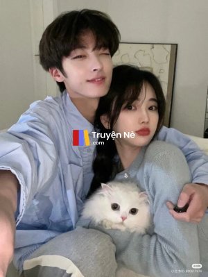Chiếc Xe Của Tôi Đã Mất