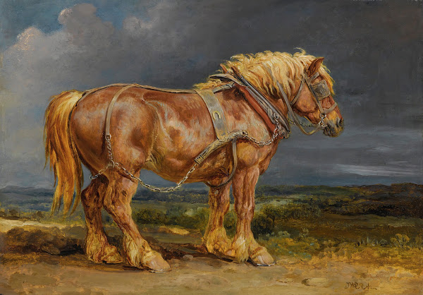 Cheshunt The Shire Horseelephantin An Extensive Landscape