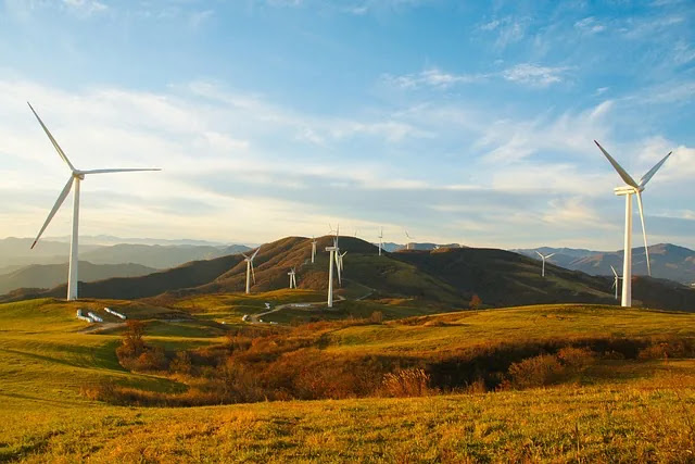 2026 소비 트렌드 핵심 키워드 5가지