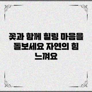 꽃테라피효과, 마음의 힐링, 정서적 안정, 자연 치료, 스트레스 해소