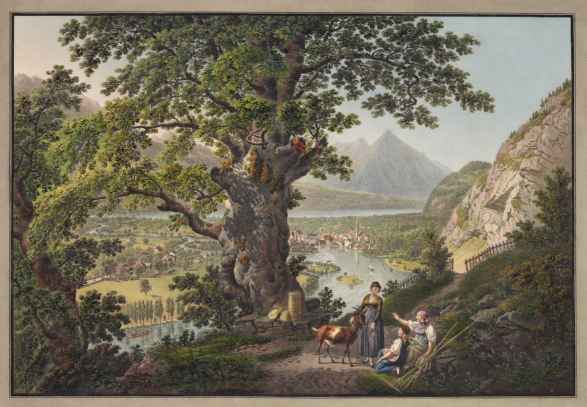 Unterseen depuis le Hohbuhl 1915 1945