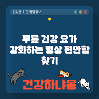무릎 강화, 요가 명상법, 무릎 건강, 요가 효과, 무릎 운동
