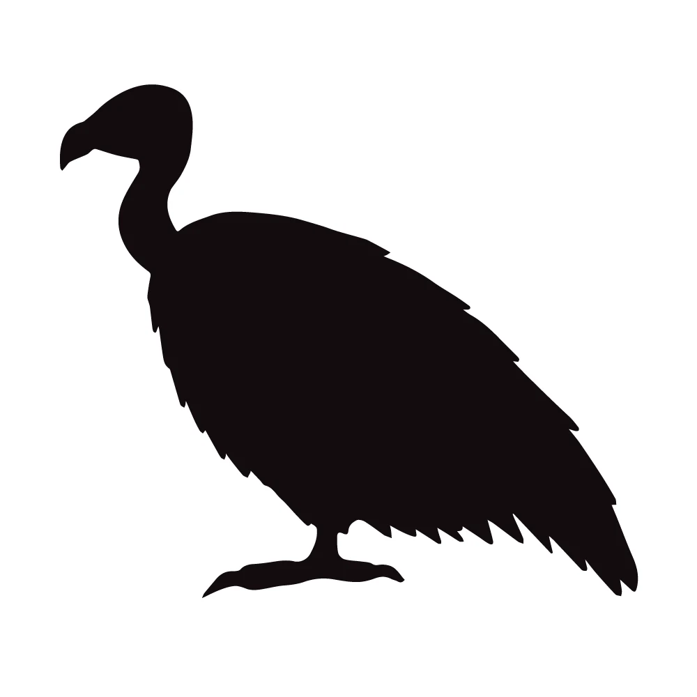 Black silhouette of a vulture standing on a white background, side profile.