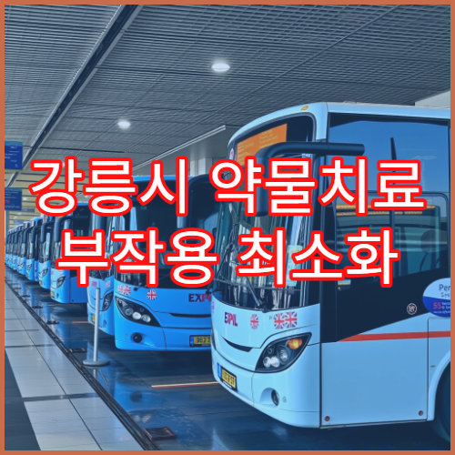 강릉시 약물치료 부작용 최소화 처방 병원 환자 관리 시스템