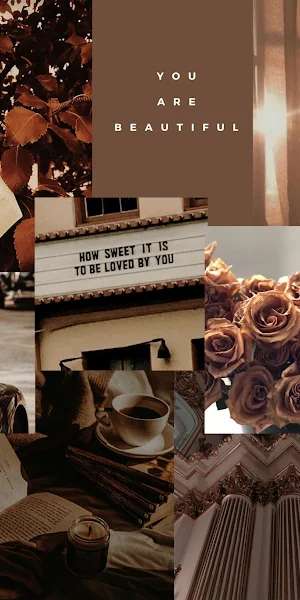 Brown Aesthetic, Collage, Roses, Books Full HD Wallpaper Background