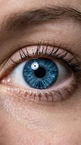 Minimalist Ceramic Still Life