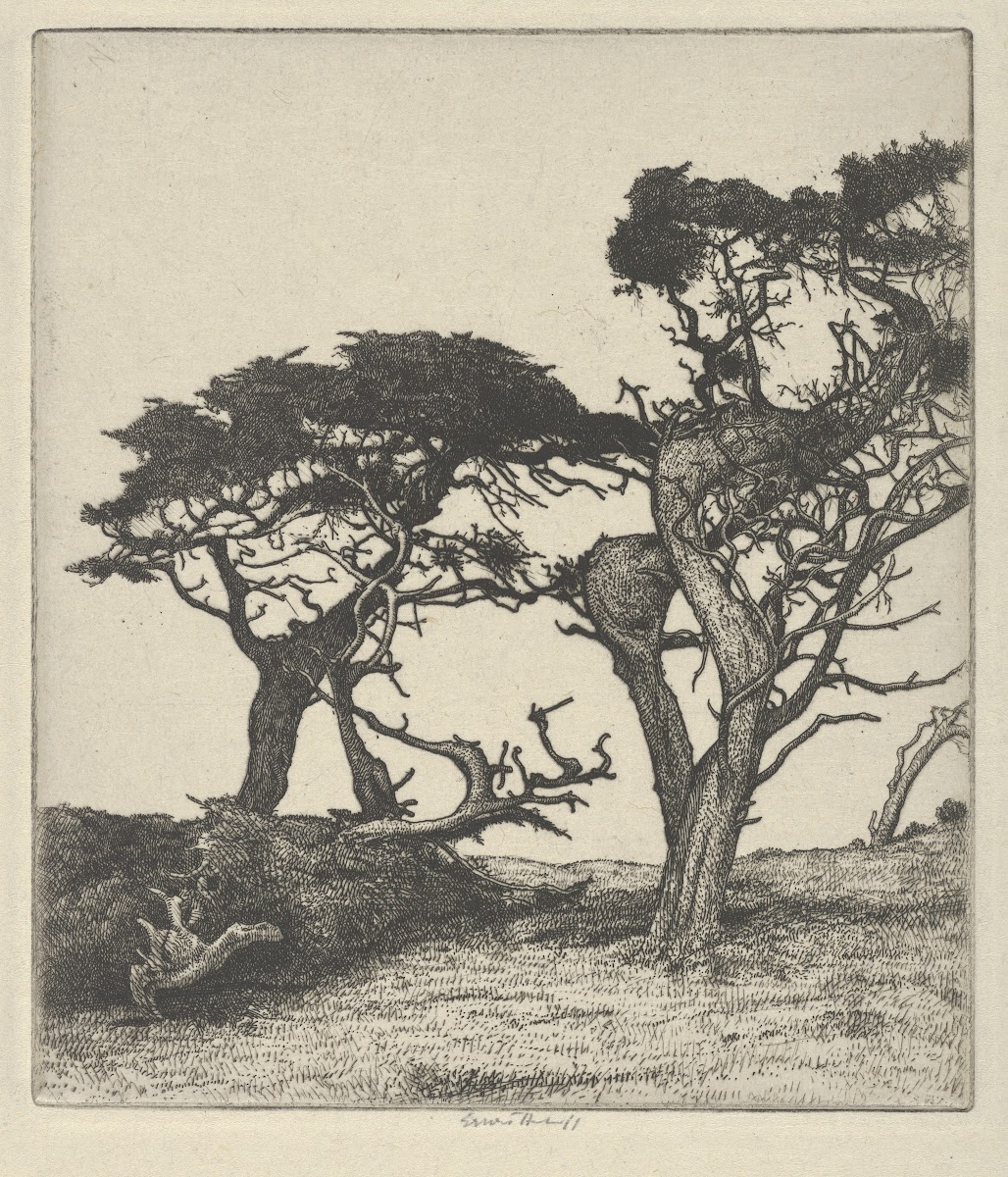 Fragments of the Ostrich 1915