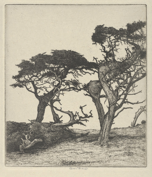 Fragments of the Ostrich 1915