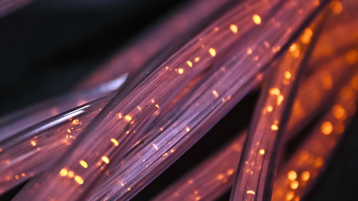 윈도우 11에서 네트워크 속도 느릴 때 점검할 설정과 해결 방법