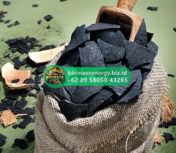 Low Ash and Clean Burn Demonstration