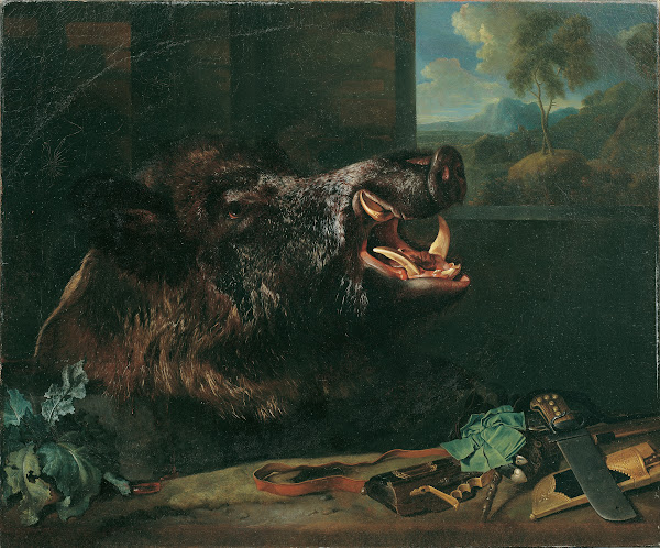 The Kitchen Curator