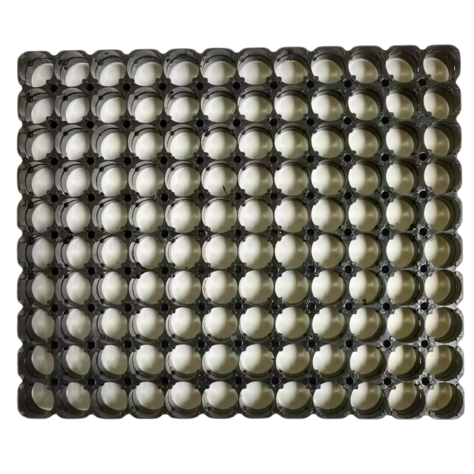 CELL HOLDER 18650(10X12) (41e0)