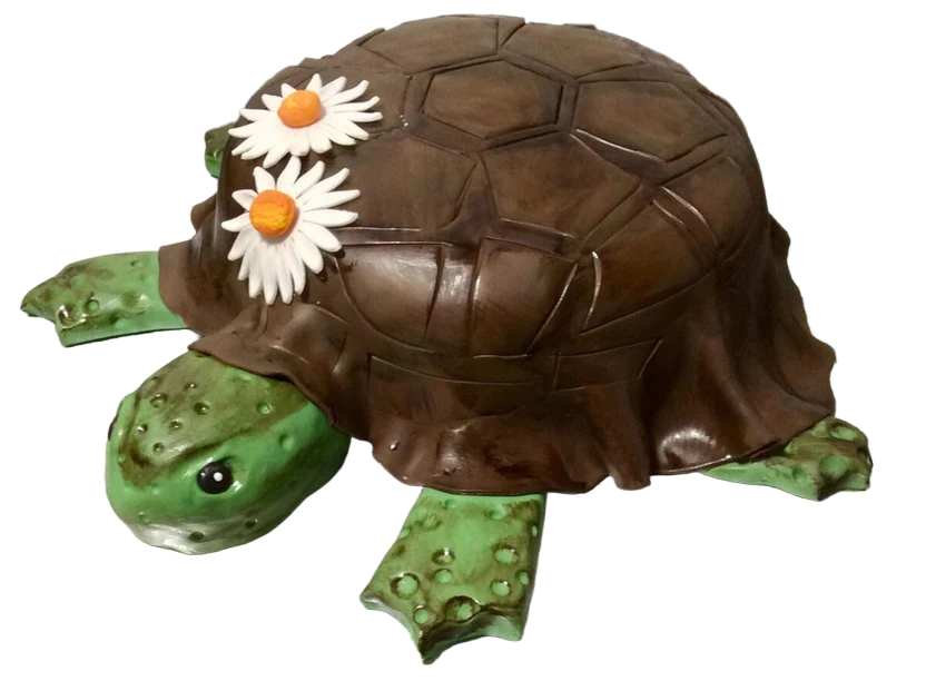 Tortoise Birthday Cake CB-NC038