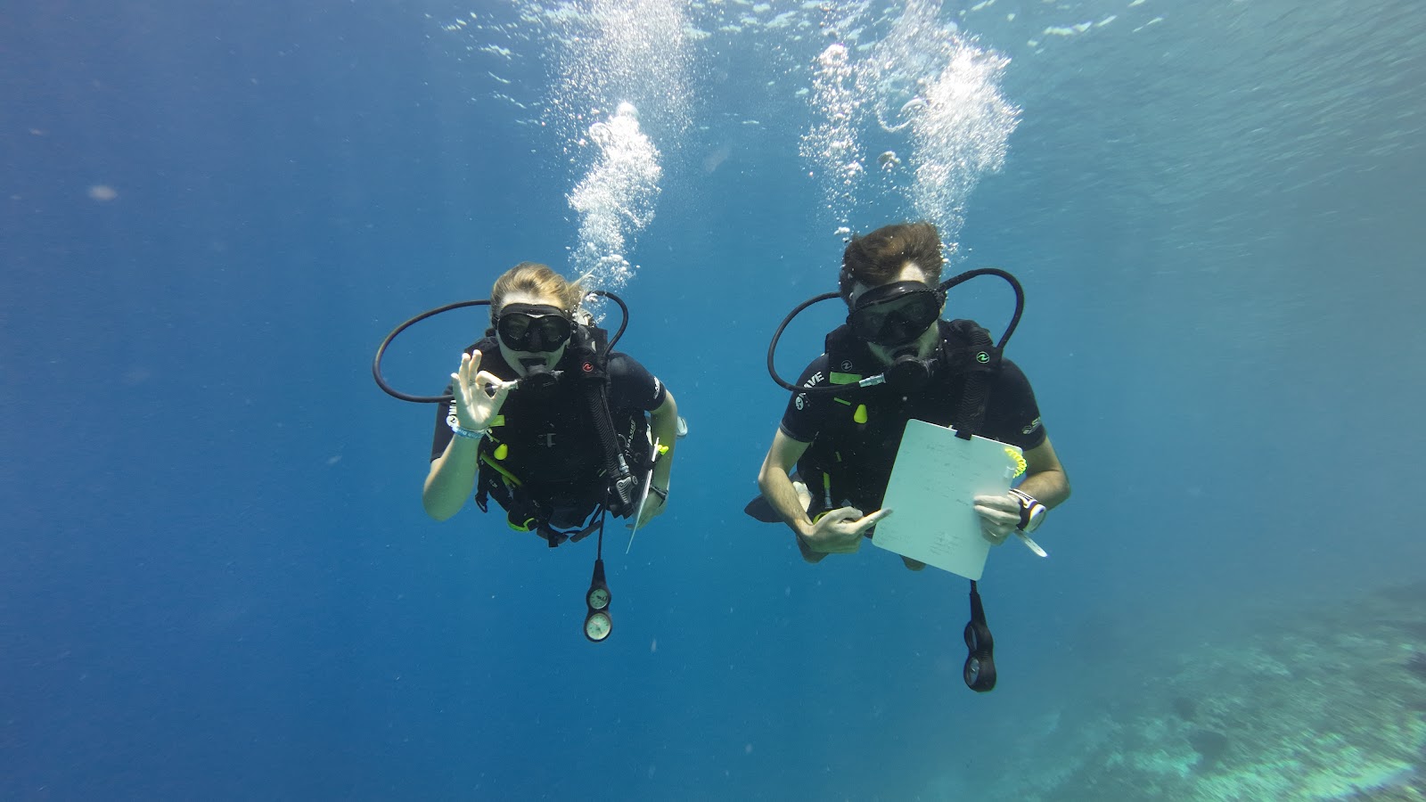 Scuba course training