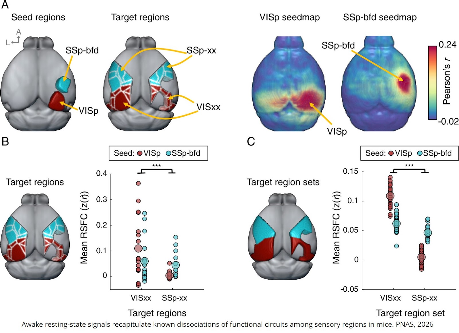 Correspondence of large-scale functional brain network decline across aging mice and humans