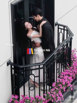 Ván Cược Tình Yêu