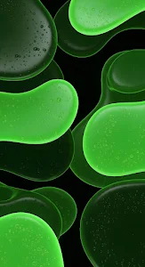 Abstract Green Amoeba Shapes with Water Droplets on Black