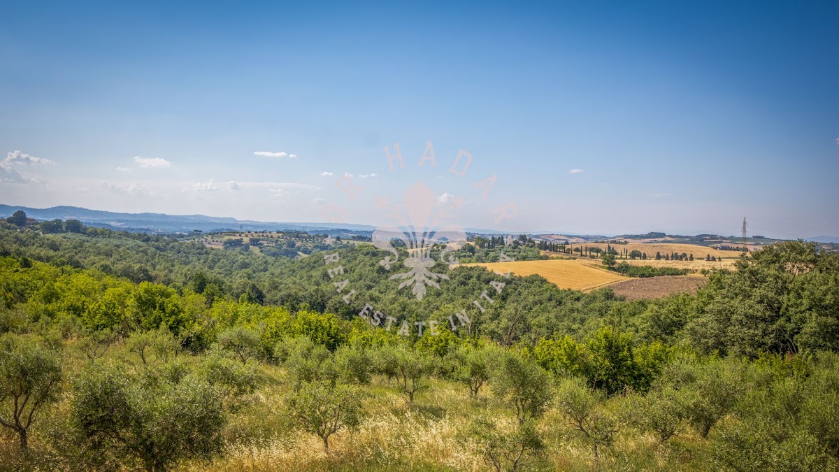 פודרה פלאצו ואל דל סאסו (Podere Palazzo Val del Sasso) — 55