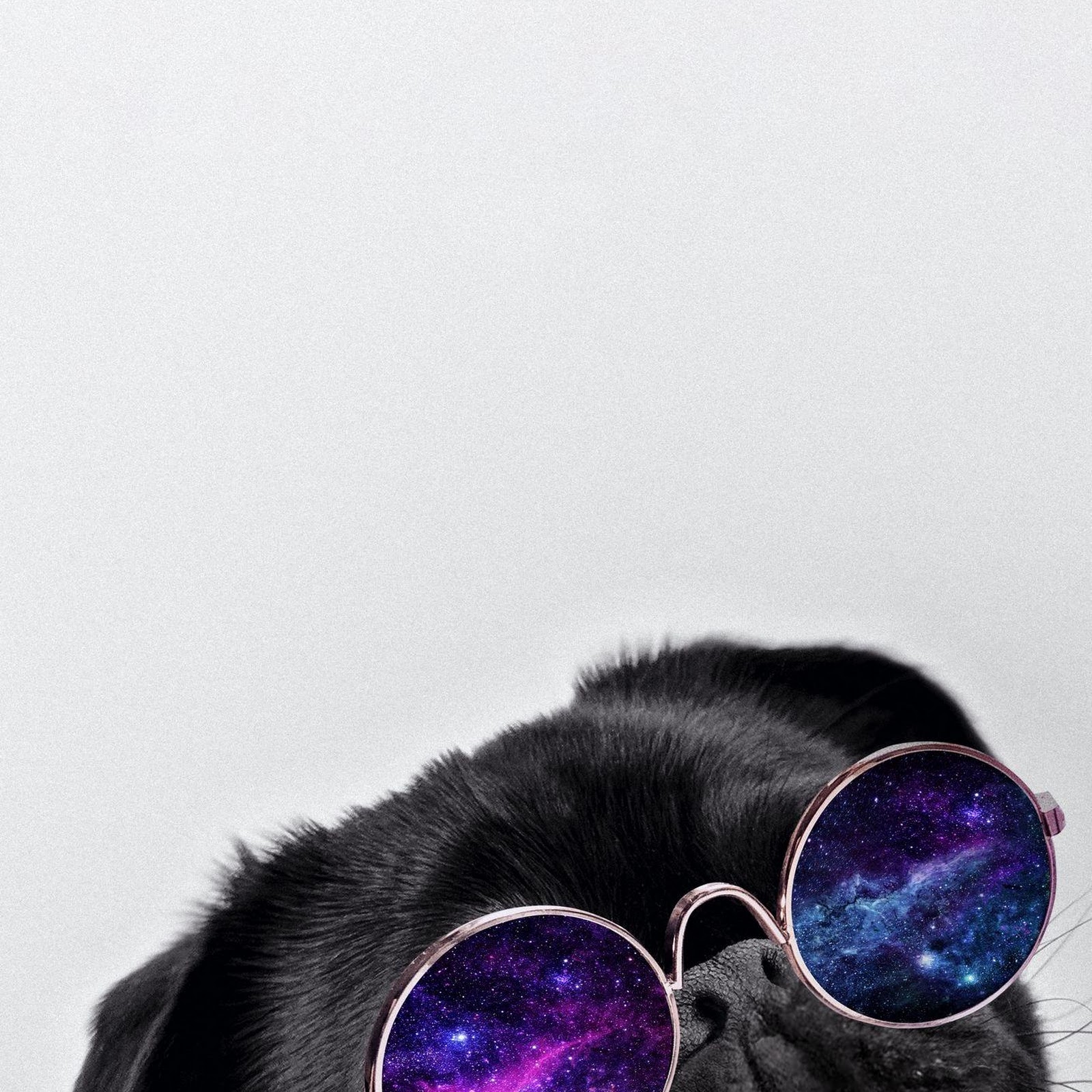 Download Cool Black Pug Galaxy Glasses Full HD iPhone