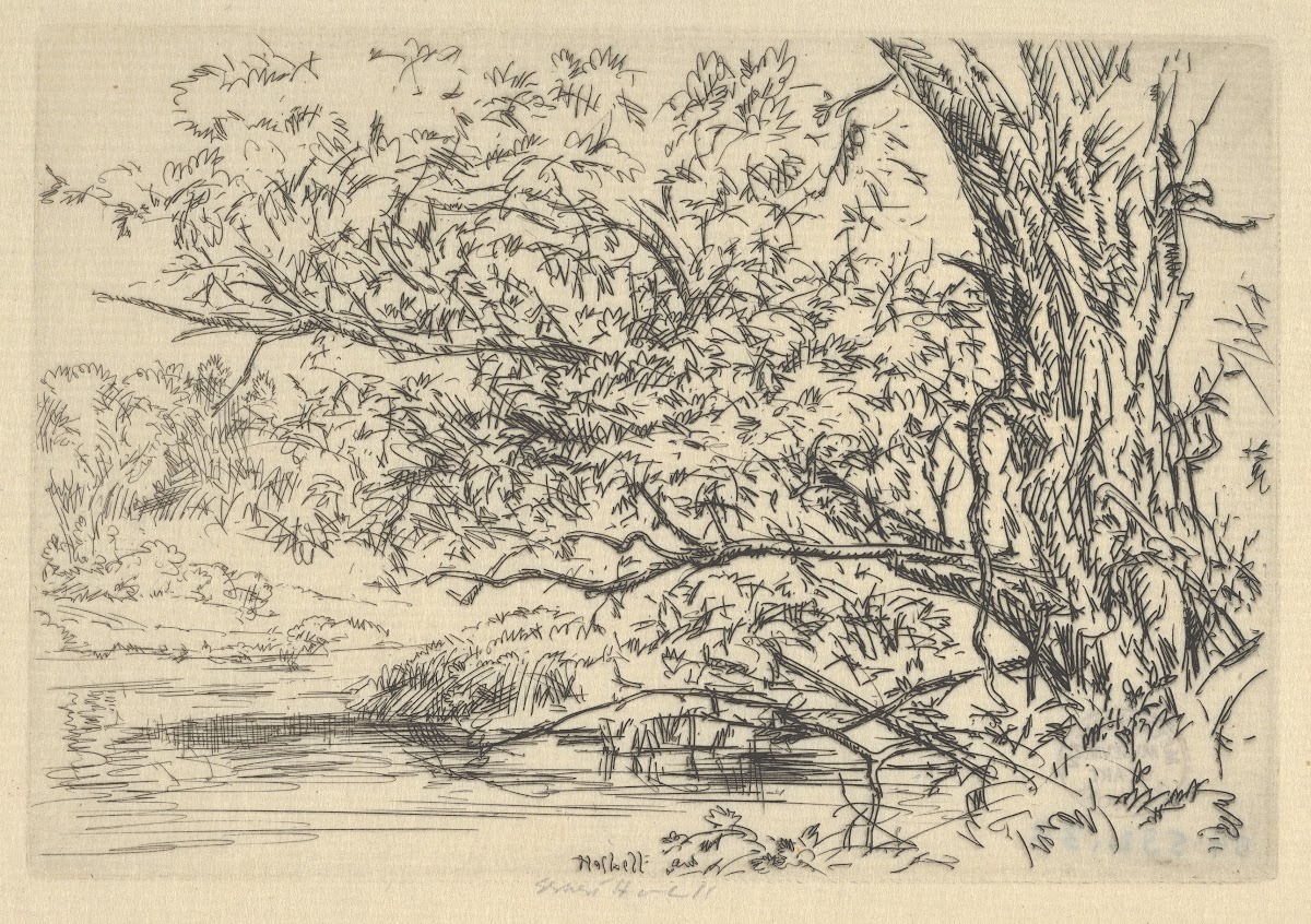 Willow and Water 1900 1925
