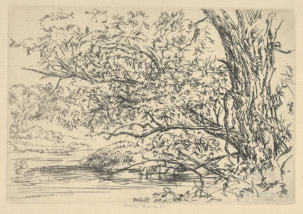 Willow and Water 1900 1925