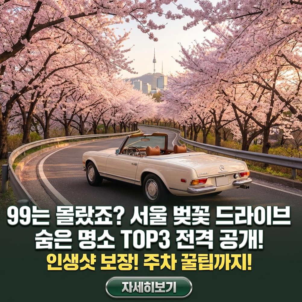 2026 서울 벚꽃 드라이브 명소 완벽 가이드: 최적 코스 및 개화 시기 분석