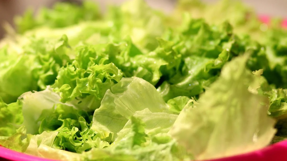 다이어트 성공을 위한 건강한 식습관 체계적 관리법