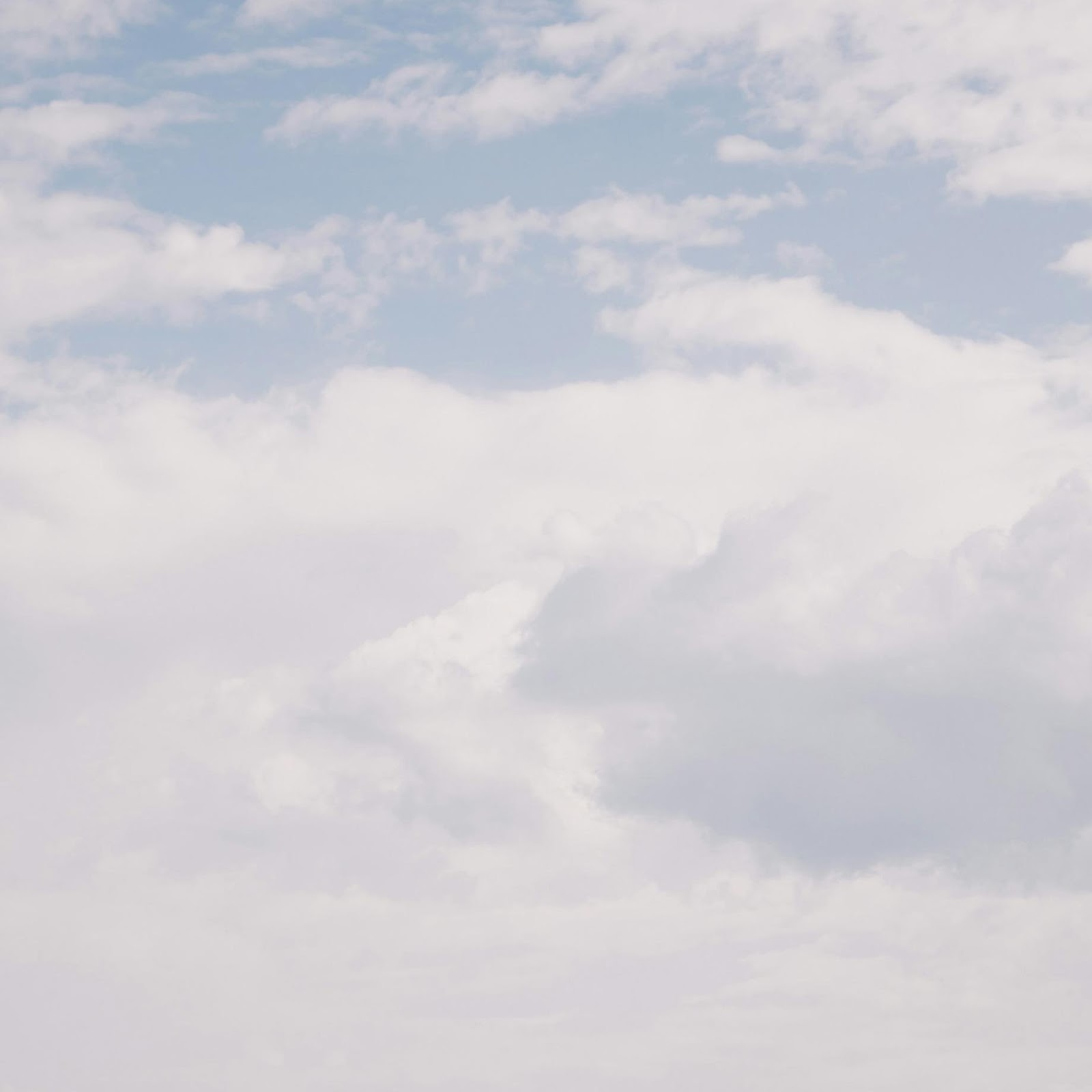 Download Lone Tree On Savanna Path 2K iPhone