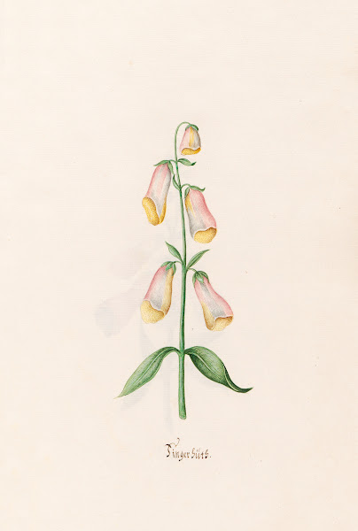 Fingerhüts 1692