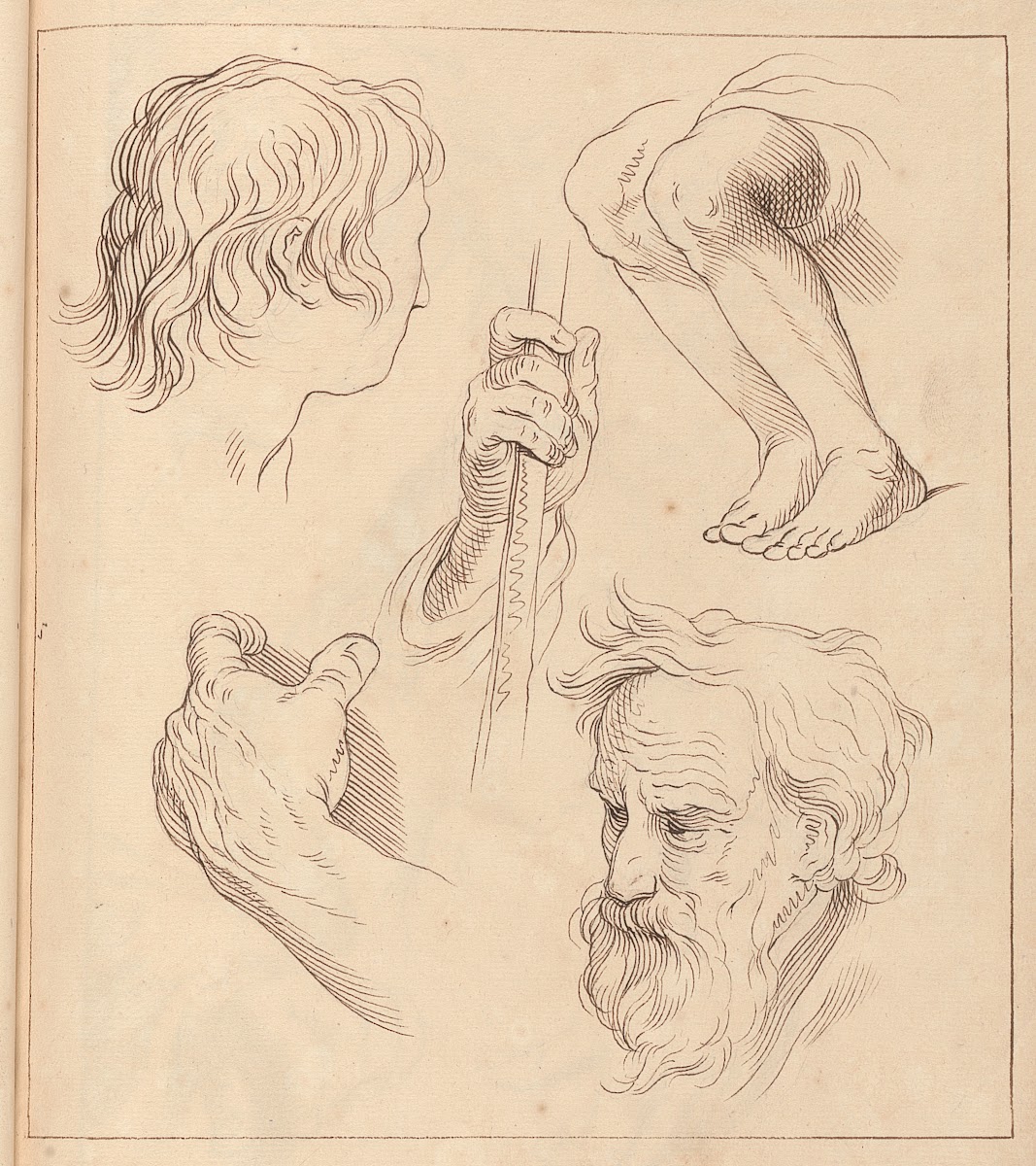 Sketches of Hands Heads and Legs 1716