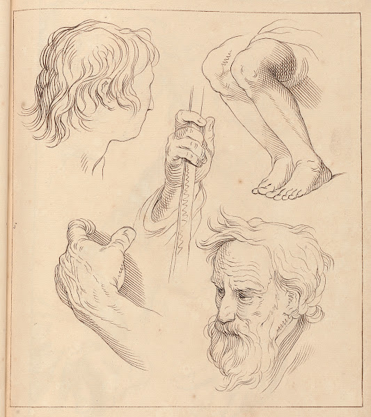Sketches of Hands Heads and Legs 1716