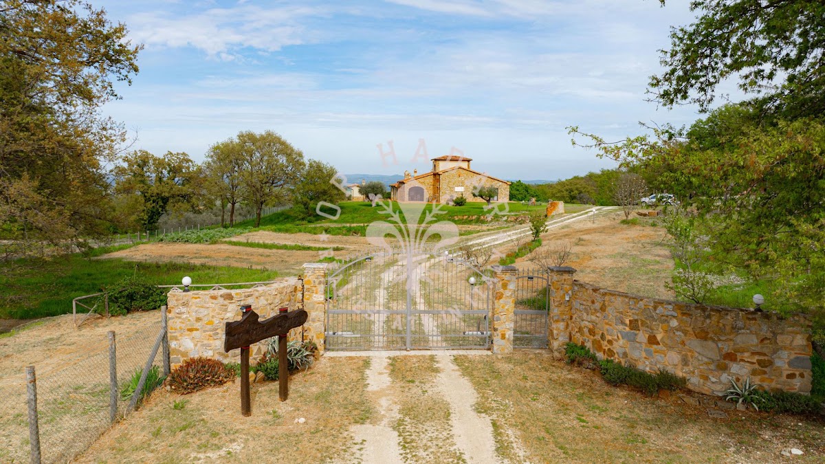 פודרה איל פלאגונה (Podere il Pelagone) — 3