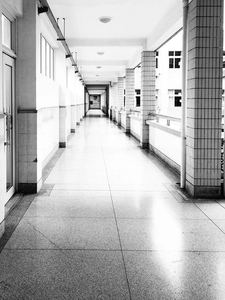 교육부 최신 입시 정책별 고등학교 현장 적용 사례 비교