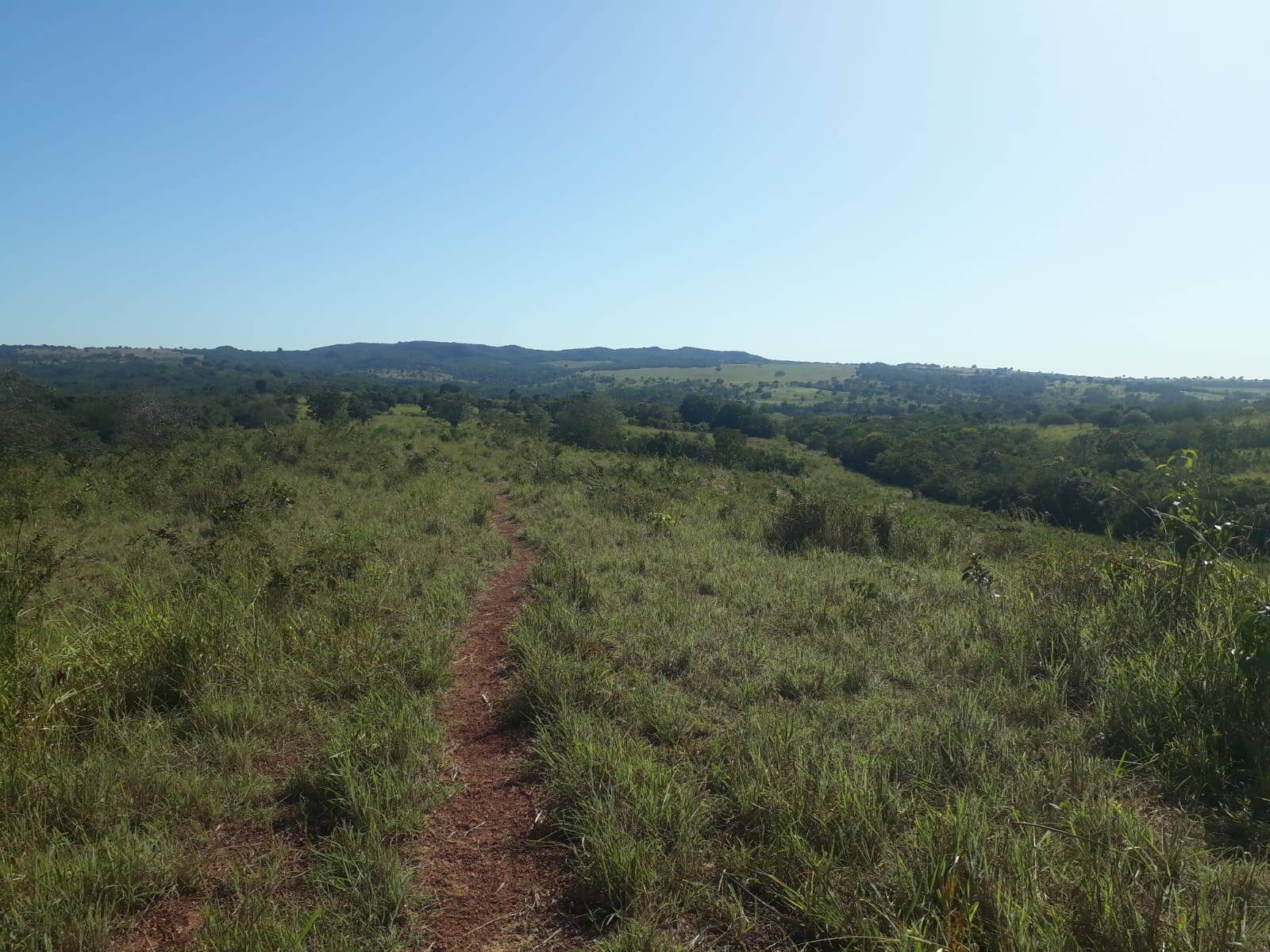 Fazenda em Palestina de Goiás-GO 4