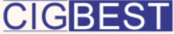 CigBest Shop logo