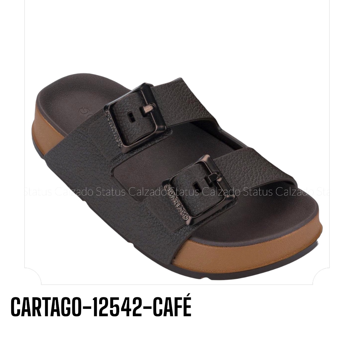 CARTAGO-12542-CAFÉ