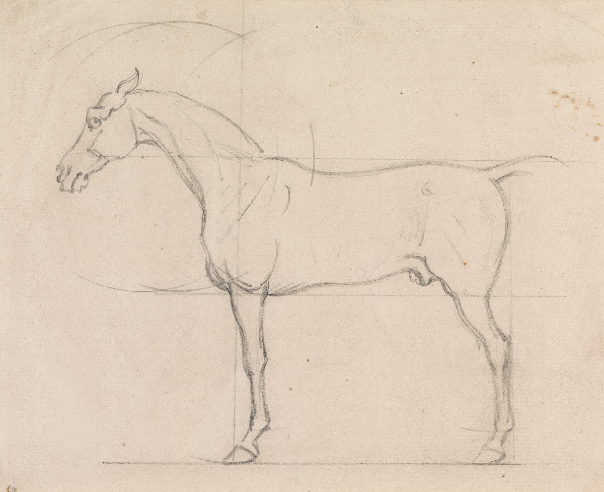 Profile of a Horse Facing Left