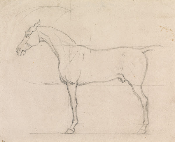 Profile of a Horse Facing Left