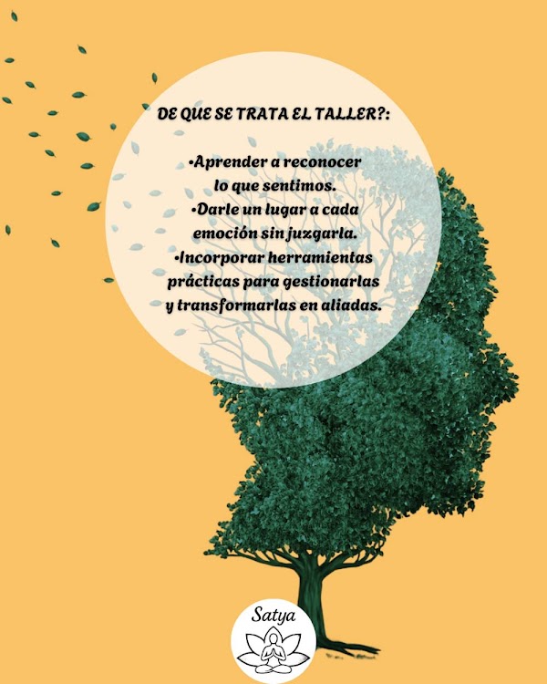 Reconocer y Gestionar tus emociones