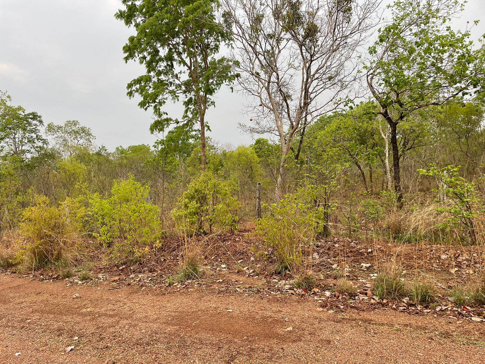 Fazenda em Talismã - TO 8