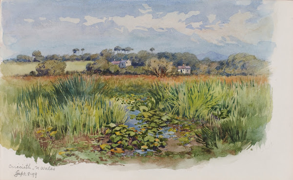 Criccieth N Wales 1899